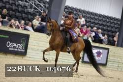 22BUCK_04676 proof