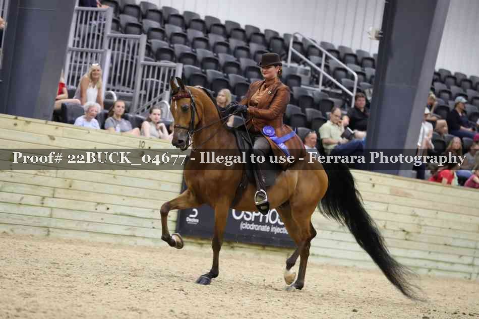 Proof 22BUCK_04677