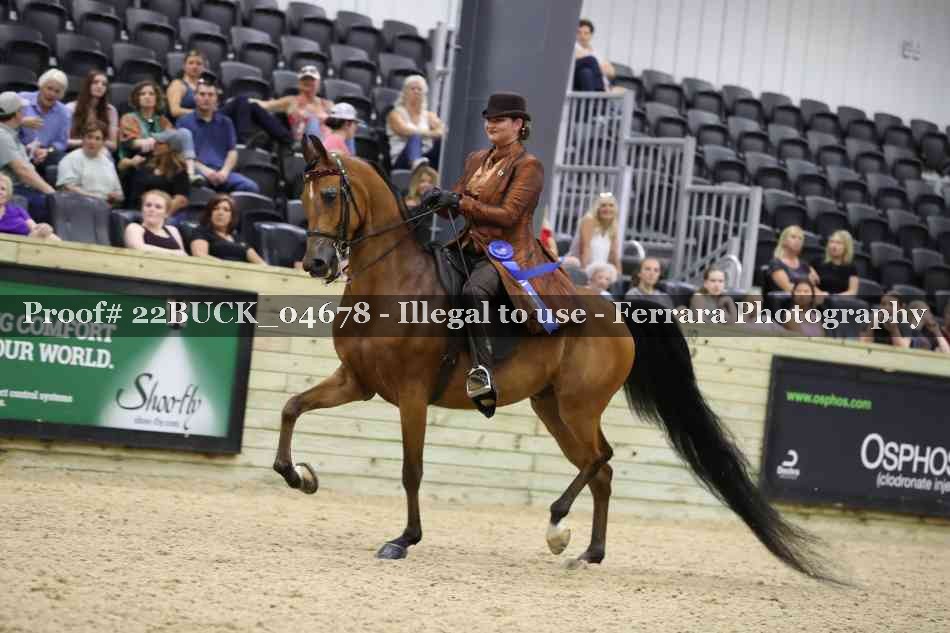 Proof 22BUCK_04678