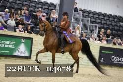22BUCK_04678 proof