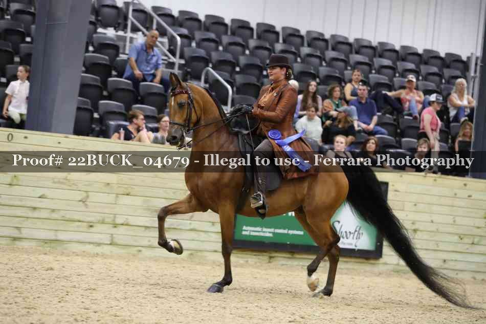 Proof 22BUCK_04679