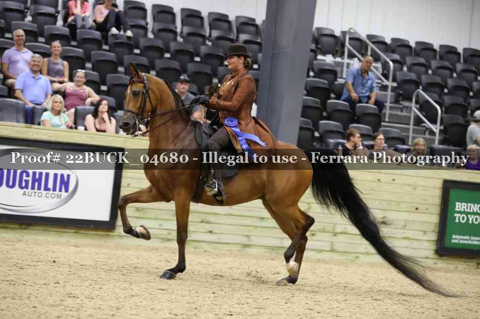 Proof 22BUCK_04680