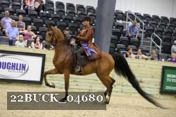 22BUCK_04680 proof