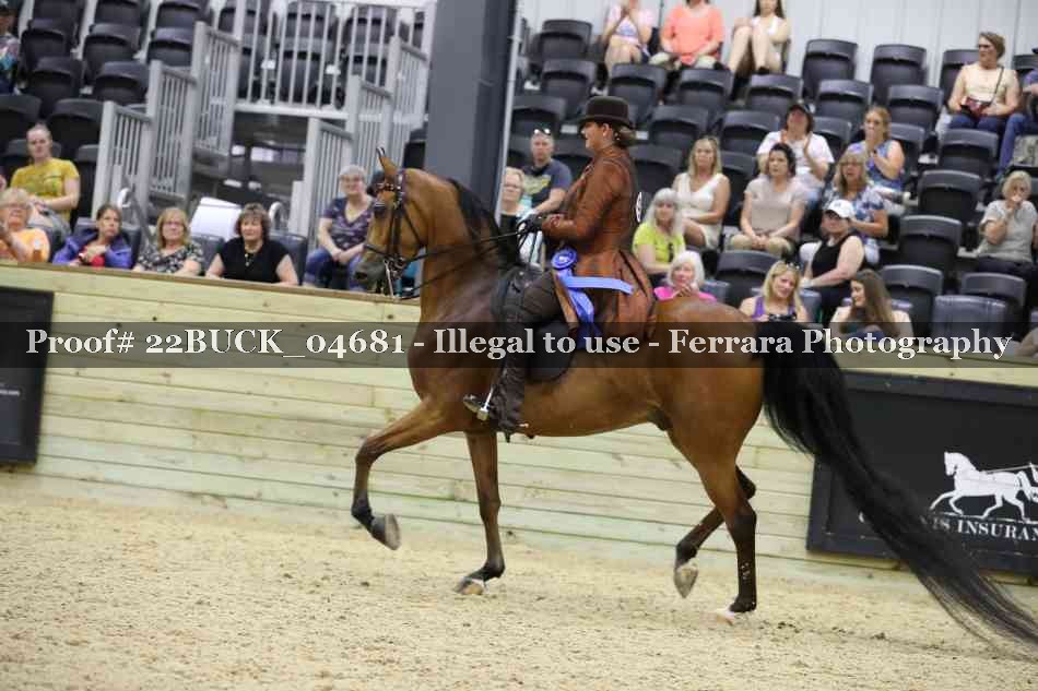 Proof 22BUCK_04681