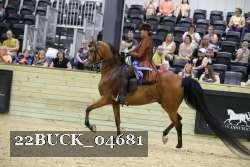 22BUCK_04681 proof