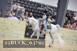 22BUCK_04701 proof