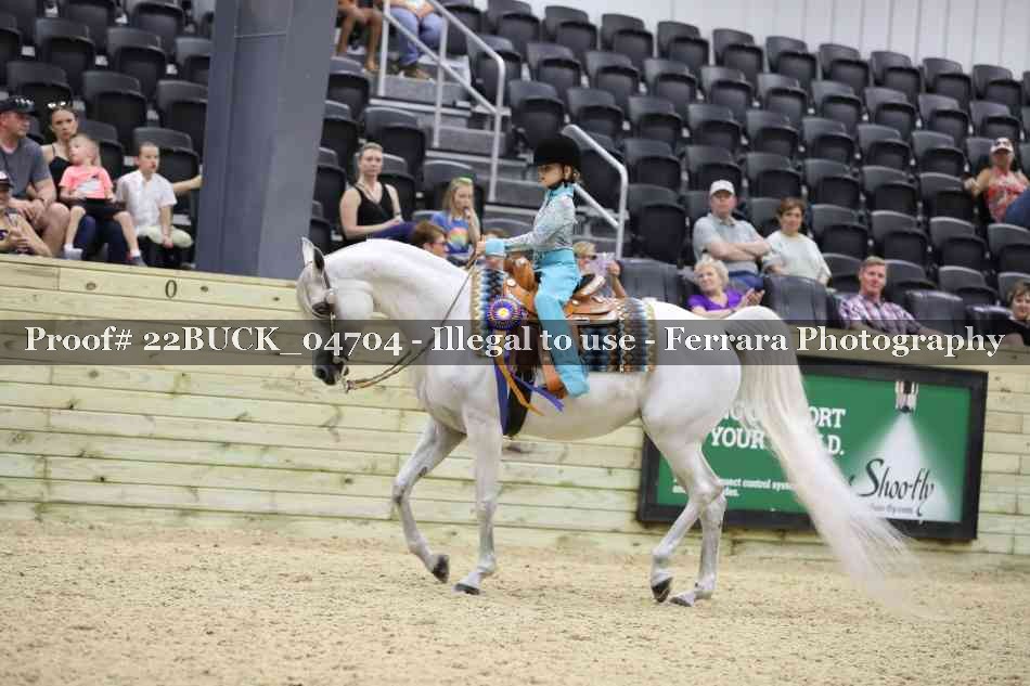Proof 22BUCK_04704