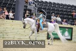 22BUCK_04704 proof