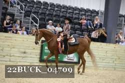 22BUCK_04709 proof