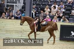 22BUCK_04714 proof