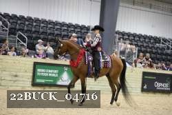 22BUCK_04716 proof