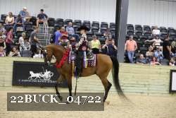 22BUCK_04722 proof