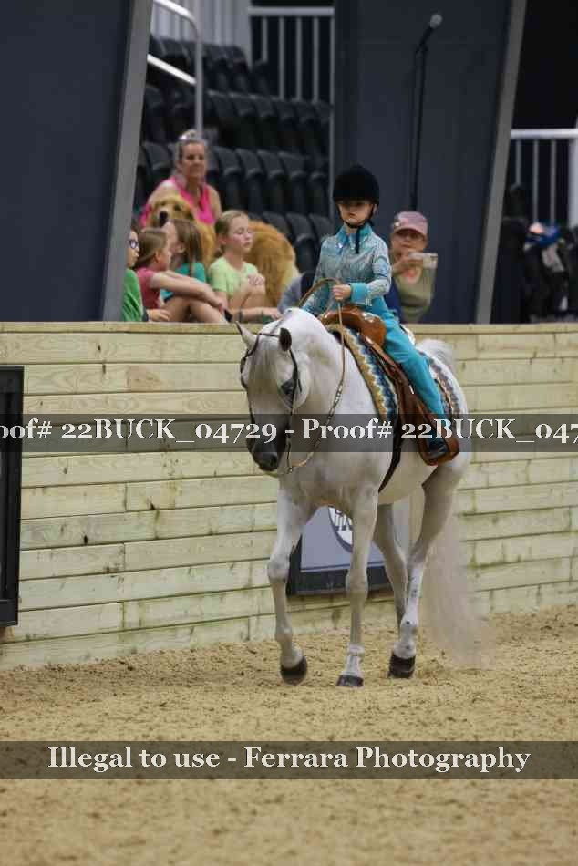 Proof 22BUCK_04729