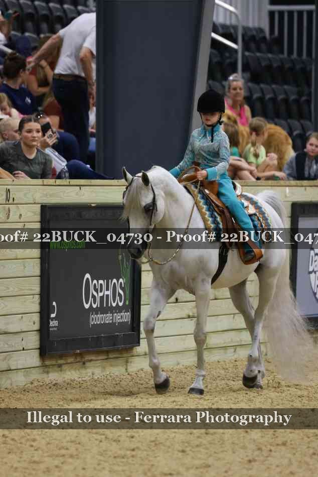 Proof 22BUCK_04730