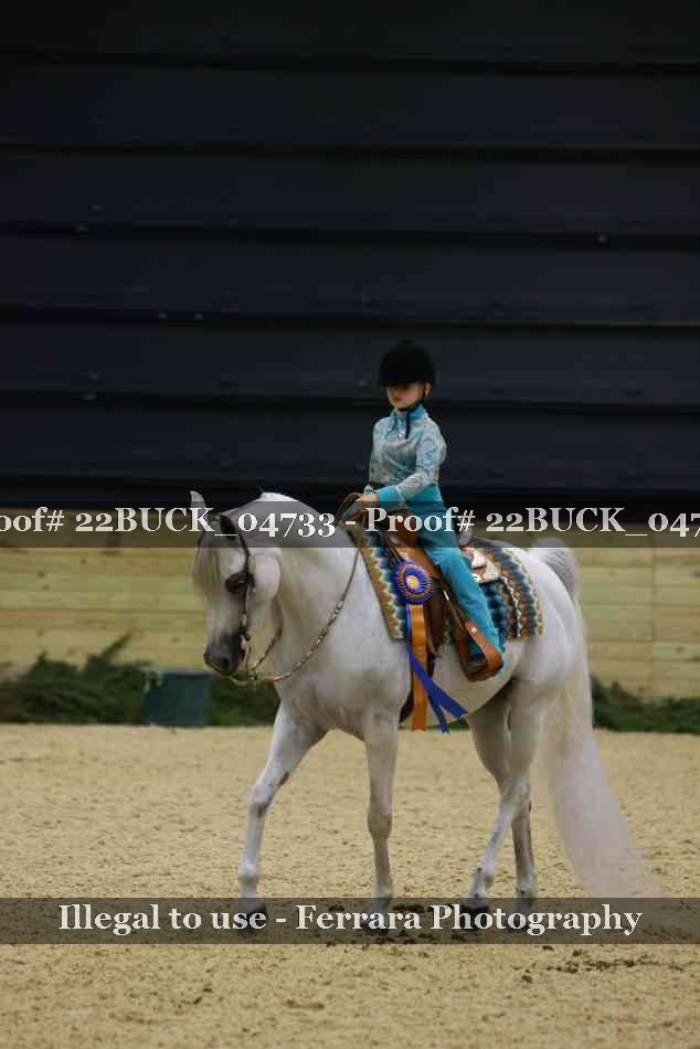 Proof 22BUCK_04733
