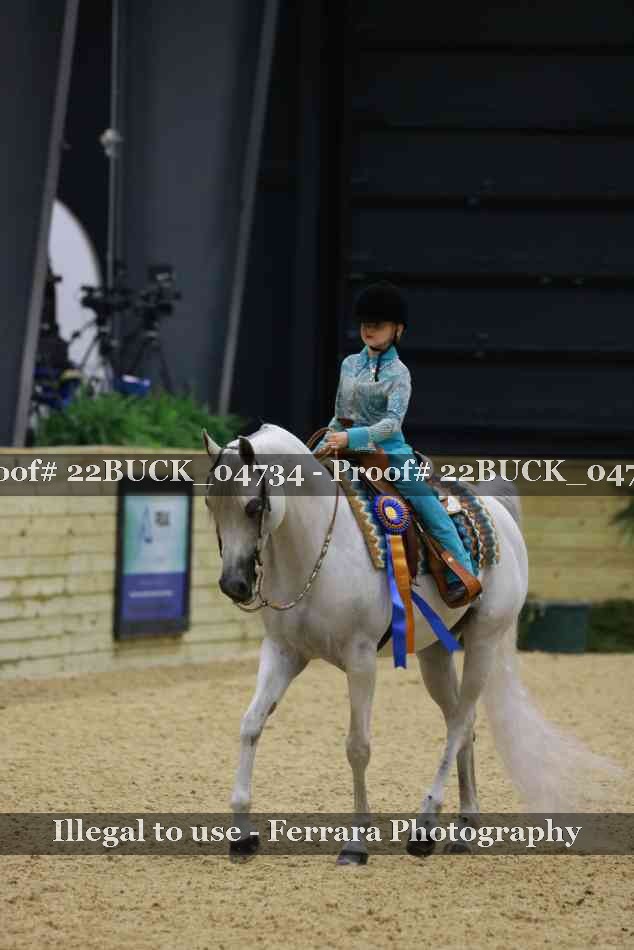 Proof 22BUCK_04734