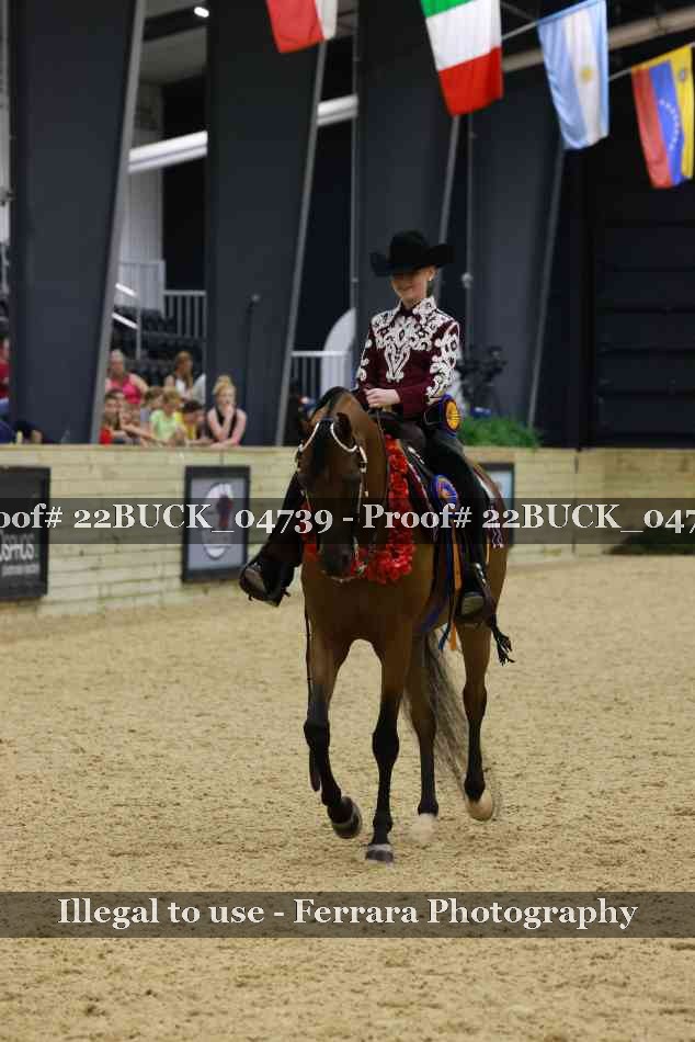 Proof 22BUCK_04739