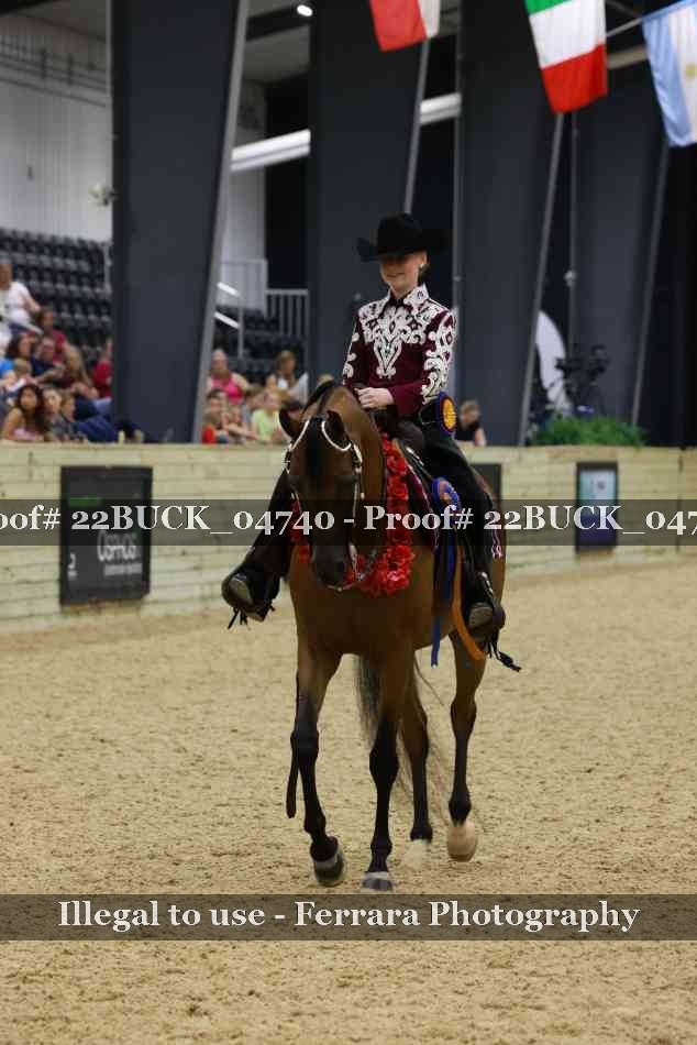 Proof 22BUCK_04740