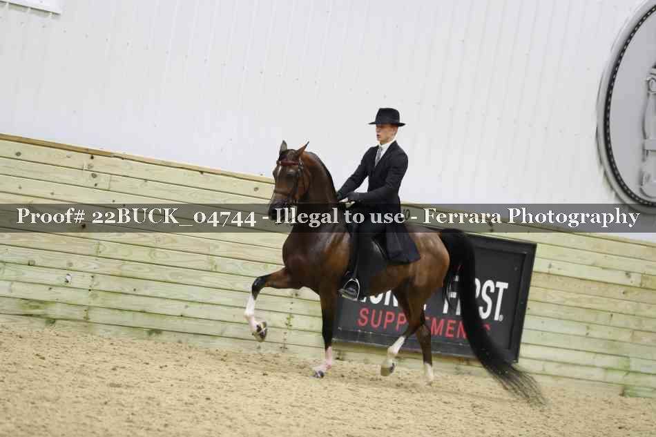 Proof 22BUCK_04744