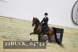 22BUCK_04744 proof