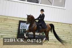22BUCK_04745 proof
