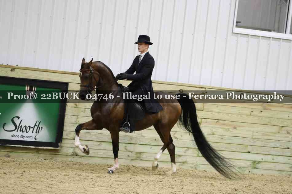 Proof 22BUCK_04746