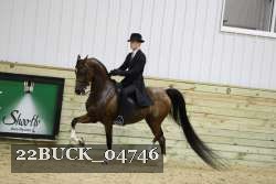 22BUCK_04746 proof