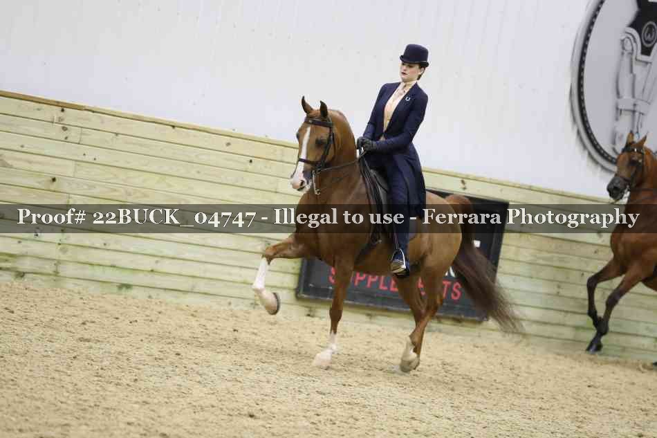 Proof 22BUCK_04747