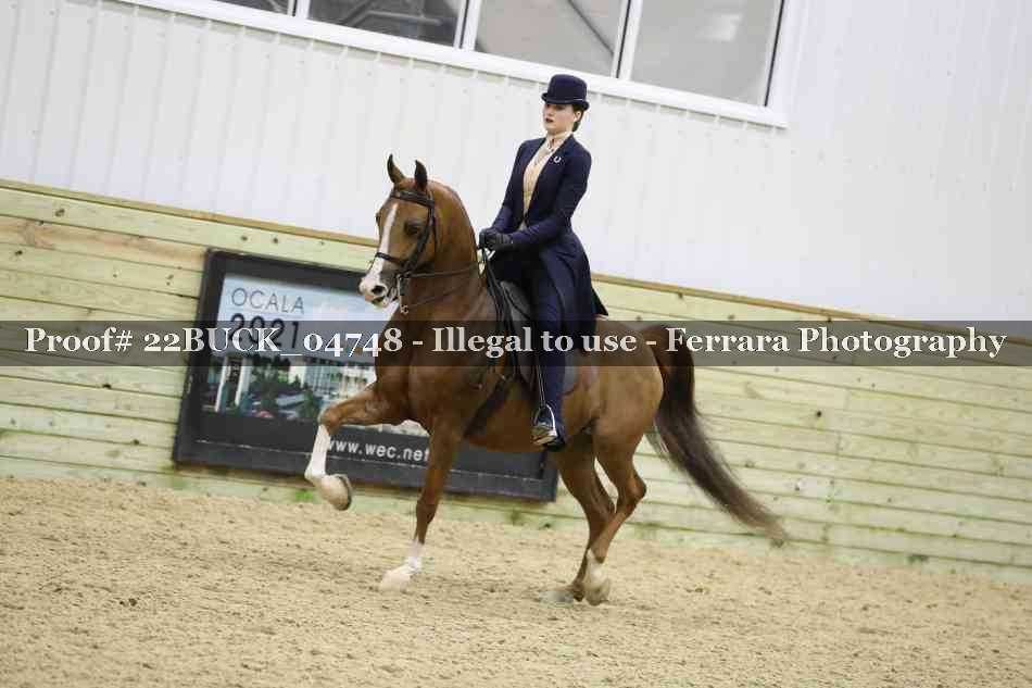 Proof 22BUCK_04748