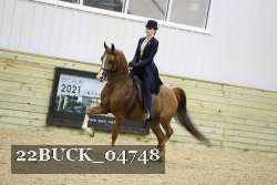 22BUCK_04748 proof