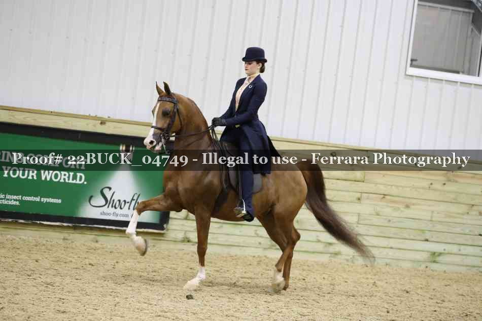 Proof 22BUCK_04749
