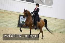 22BUCK_04750 proof