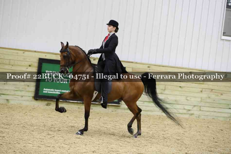 Proof 22BUCK_04751