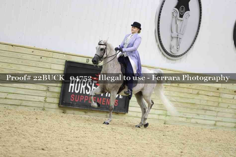 Proof 22BUCK_04752