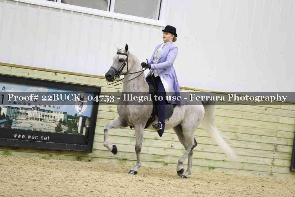 Proof 22BUCK_04753