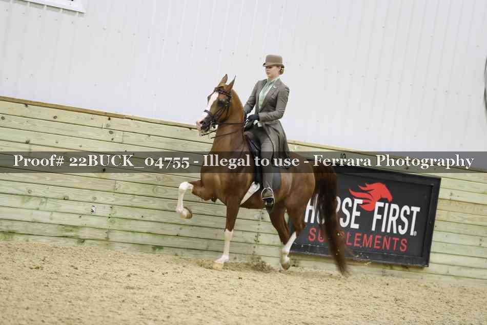 Proof 22BUCK_04755