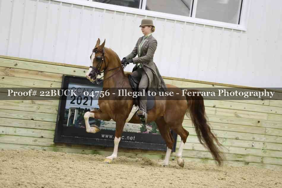 Proof 22BUCK_04756