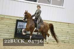 22BUCK_04756 proof