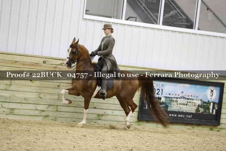 Proof 22BUCK_04757