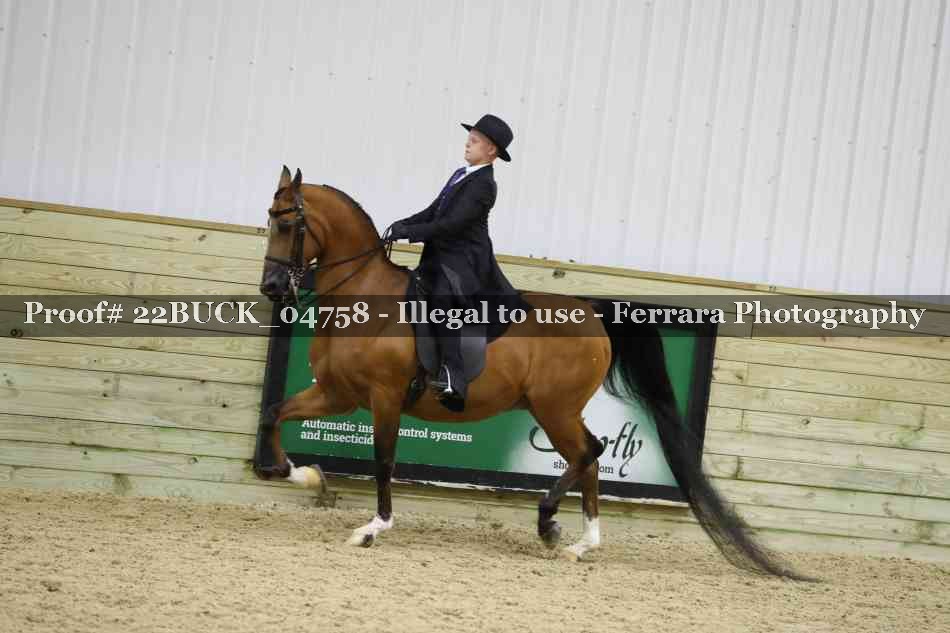 Proof 22BUCK_04758