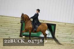 22BUCK_04758 proof