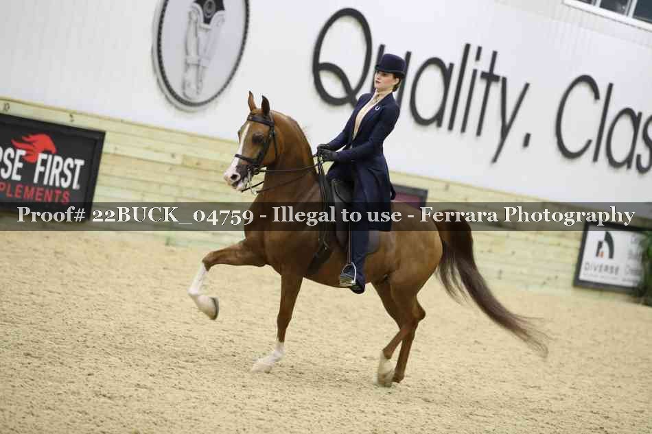Proof 22BUCK_04759
