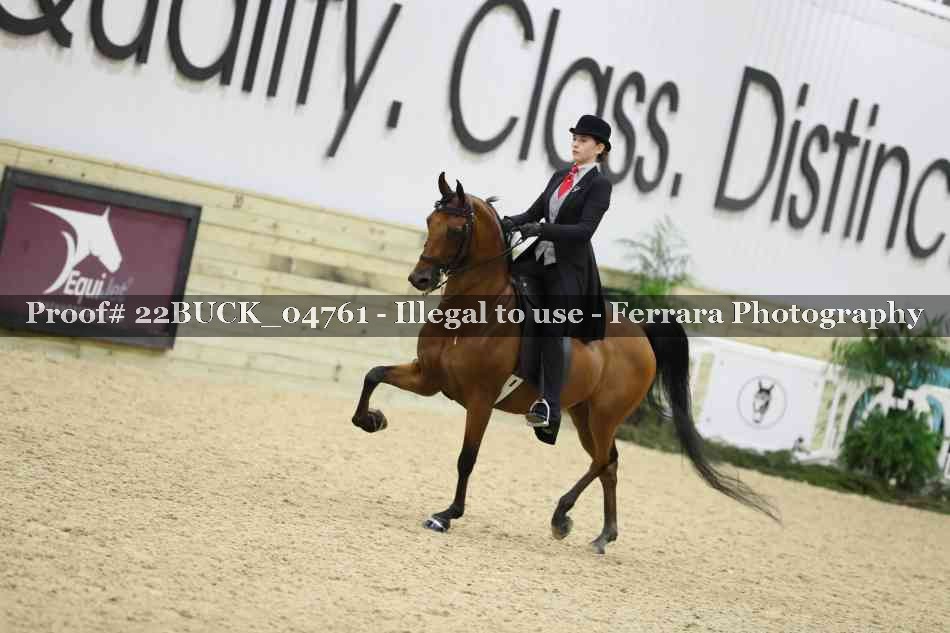Proof 22BUCK_04761
