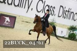 22BUCK_04761 proof