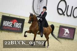22BUCK_04762 proof