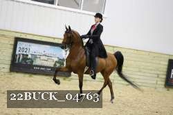 22BUCK_04763 proof