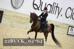 22BUCK_04764 proof