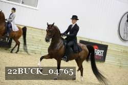 22BUCK_04765 proof