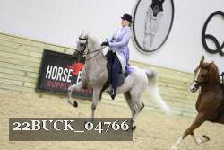 22BUCK_04766 proof