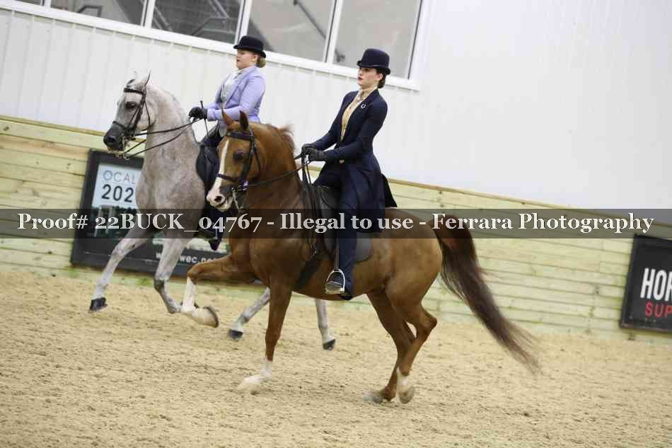 Proof 22BUCK_04767